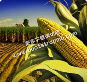 为您提供最全面、最及时的体育赛事信息 - 海星体育