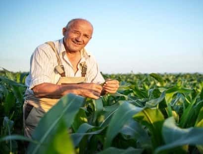 海星体育